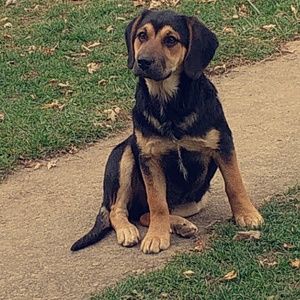 Meet your Posher, Cheyenne